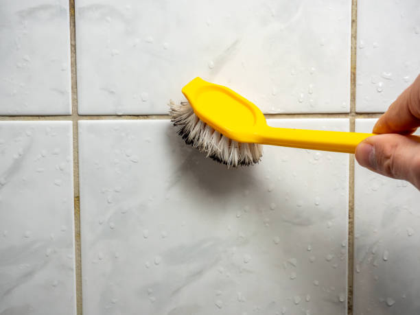 Best Mold Remediation for Specific Building Types in Norco, LA