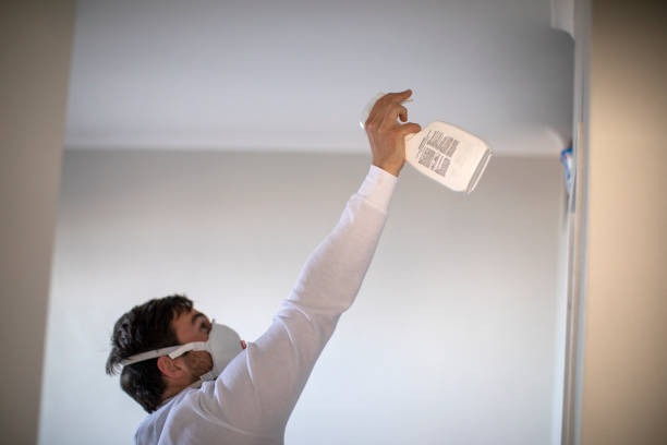 Best DIY Mold Remediation Support Services in Norco, LA