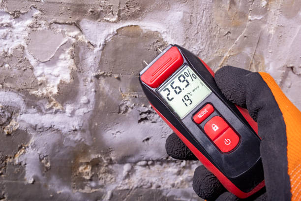 Best Bathroom Mold Remediation in Norco, LA