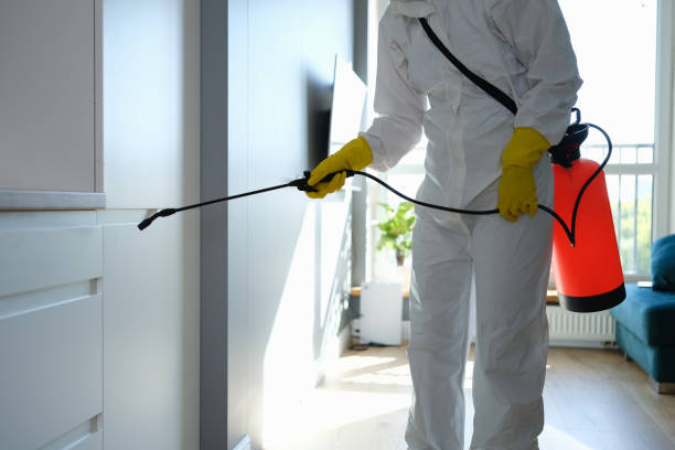 Best White Mold Remediation in Norco, LA