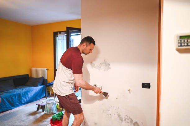 Best Post-Flood Mold Remediation in Norco, LA